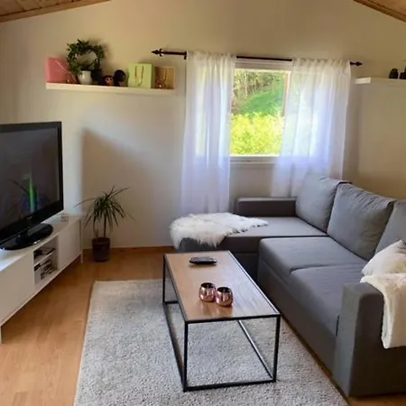 Lite Hus, Dalen I Telemark Holiday home Dalen