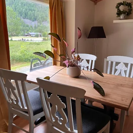 Lite Hus, Dalen I Telemark Holiday home *